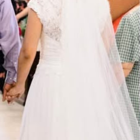 Modest, Elegant Wedding Dress & Cathedral Style Veil - Picture 1 of 10